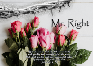 Read more about the article Mr. Right