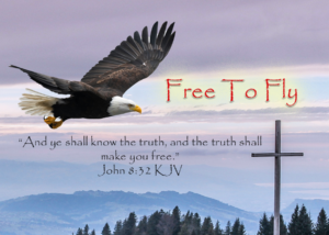 Read more about the article Free To Fly