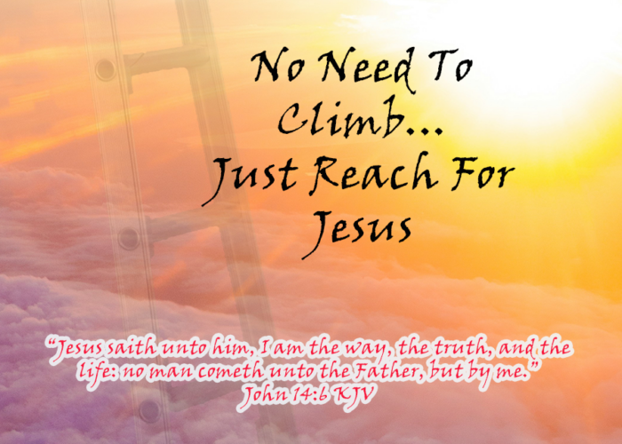 Read more about the article No Need To Climb… Just Reach For Jesus