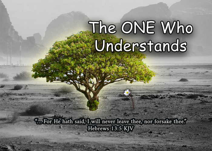 Read more about the article The ONE Who Understands