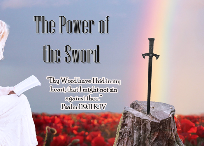 Read more about the article The Power of the Sword