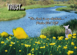Read more about the article TRUST…