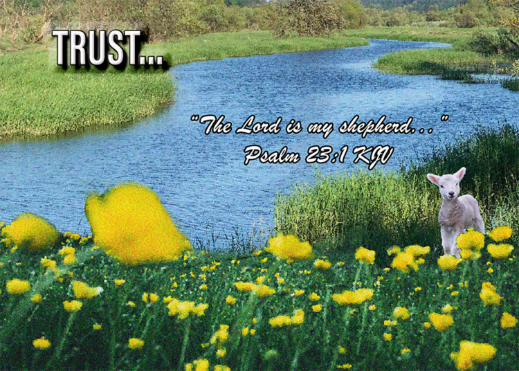Read more about the article TRUST…