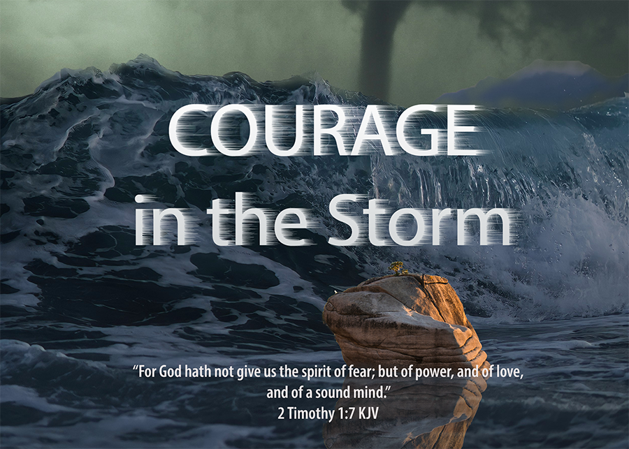 Courage in the Storm