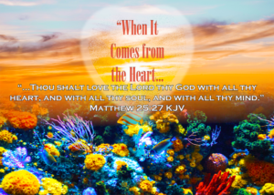 Read more about the article When It Comes from the Heart…