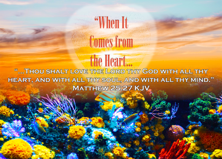 Read more about the article When It Comes from the Heart…