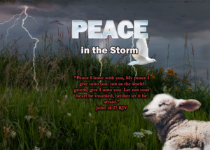 Read more about the article PEACE in the Storm