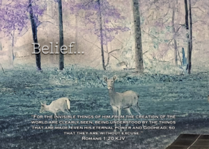 Read more about the article Belief…