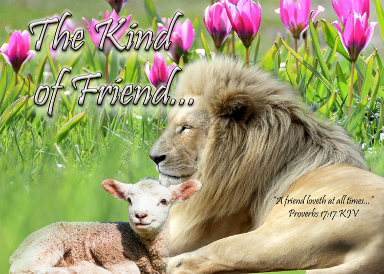 Read more about the article The Kind of Friend…
