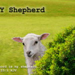 MY Shepherd