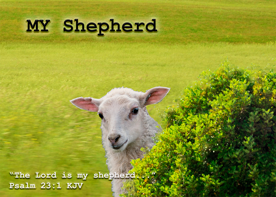MY Shepherd