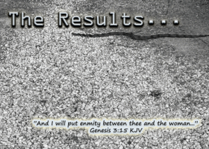 Read more about the article The Results…
