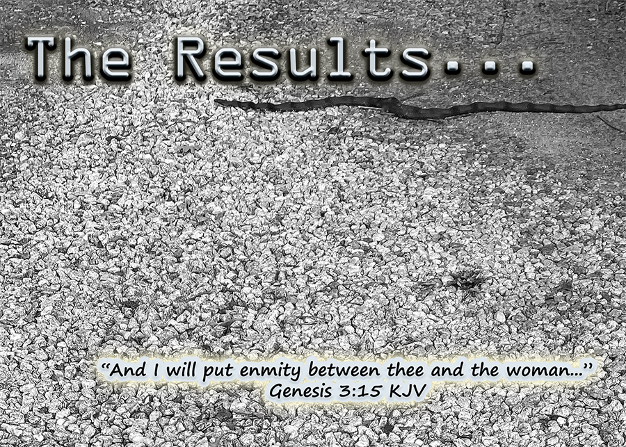 The Results…
