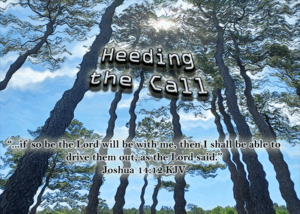 Read more about the article Heeding the Call