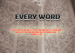 Read more about the article EVERY WORD