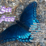 Set Free