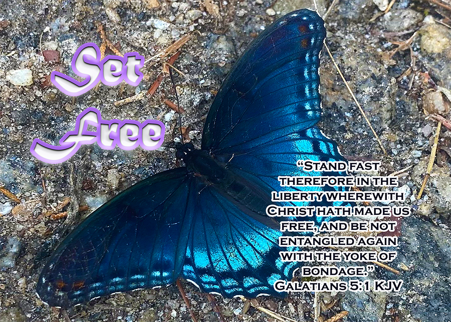 Set Free