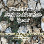 When A Seed of Doubt Is Allowed To Sprout