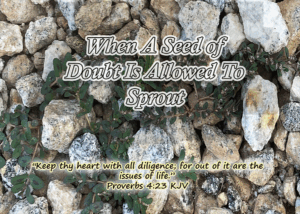 Read more about the article When A Seed of Doubt Is Allowed To Sprout