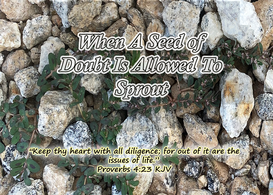 When A Seed of Doubt Is Allowed To Sprout