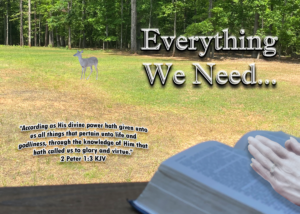Read more about the article Everything We Need…