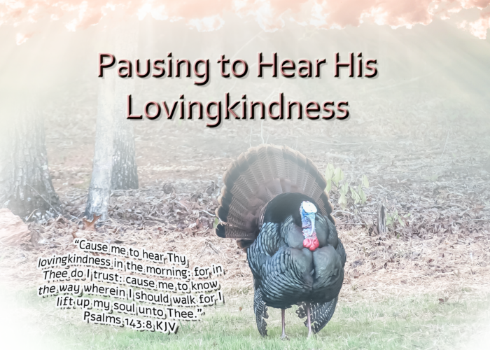 You are currently viewing Pausing to Hear His Lovingkindness