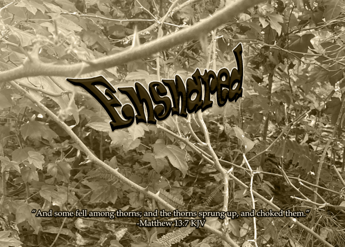 Read more about the article Ensnared