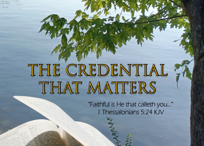 Read more about the article The Credentials That Matter